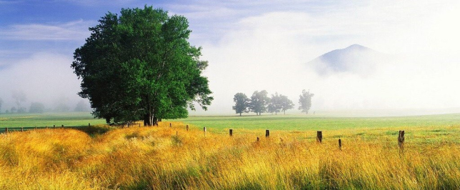 Poradenství a terapie
