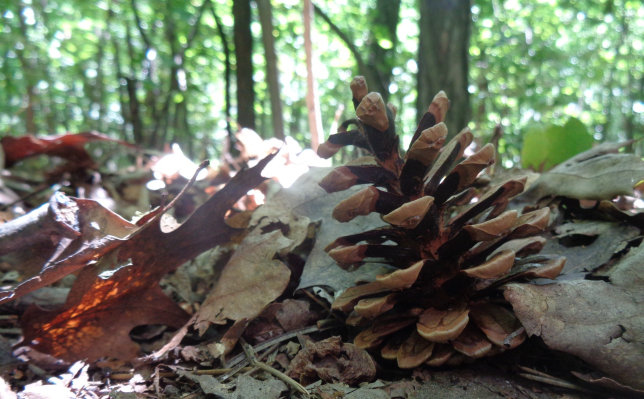 Výsledky fotografické soutěže