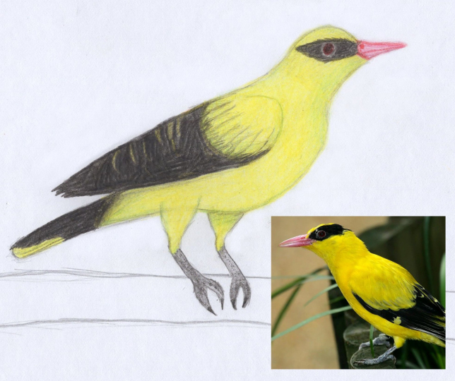 Nezapomínejte na ptáčky