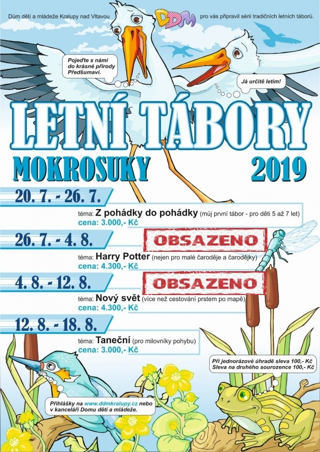 Letní tábory