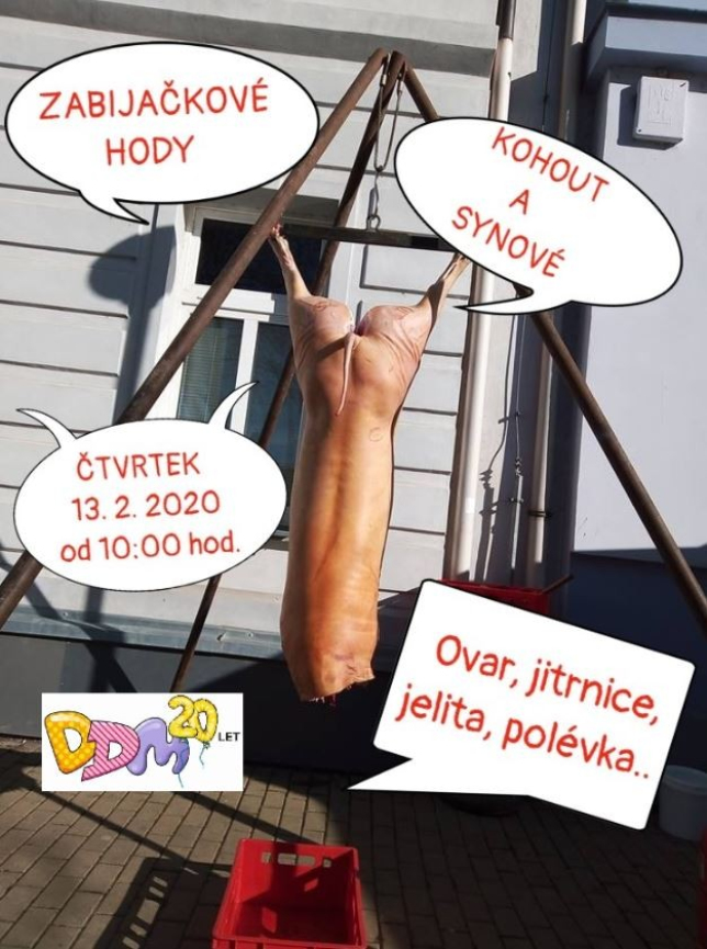 Zabijačkové hody - před DDM