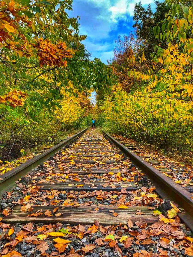 Soutěž Barvy podzimu zná vítěze